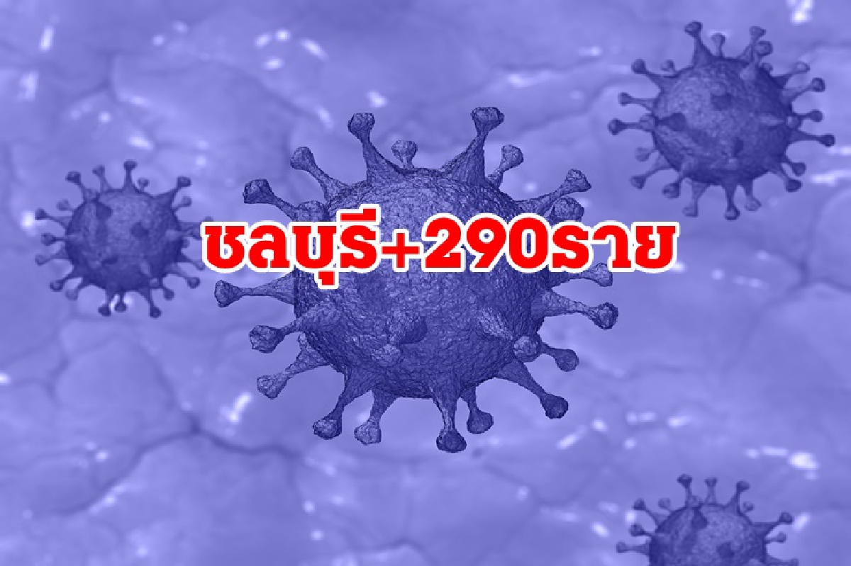 เช็กสถานที่เสี่ยงโควิด "ชลบุรี"เพิ่มอีกเพียบ ยอดติดเชื้อวันนี้พุ่ง 290 ราย ดับอีก 2 เช็กสถานที่เสี่ยงโควิด "ชลบุรี"เพิ่มอีกเพียบ ยอดติดเชื้อวันนี้พุ่ง 290 ราย ดับอีก 2