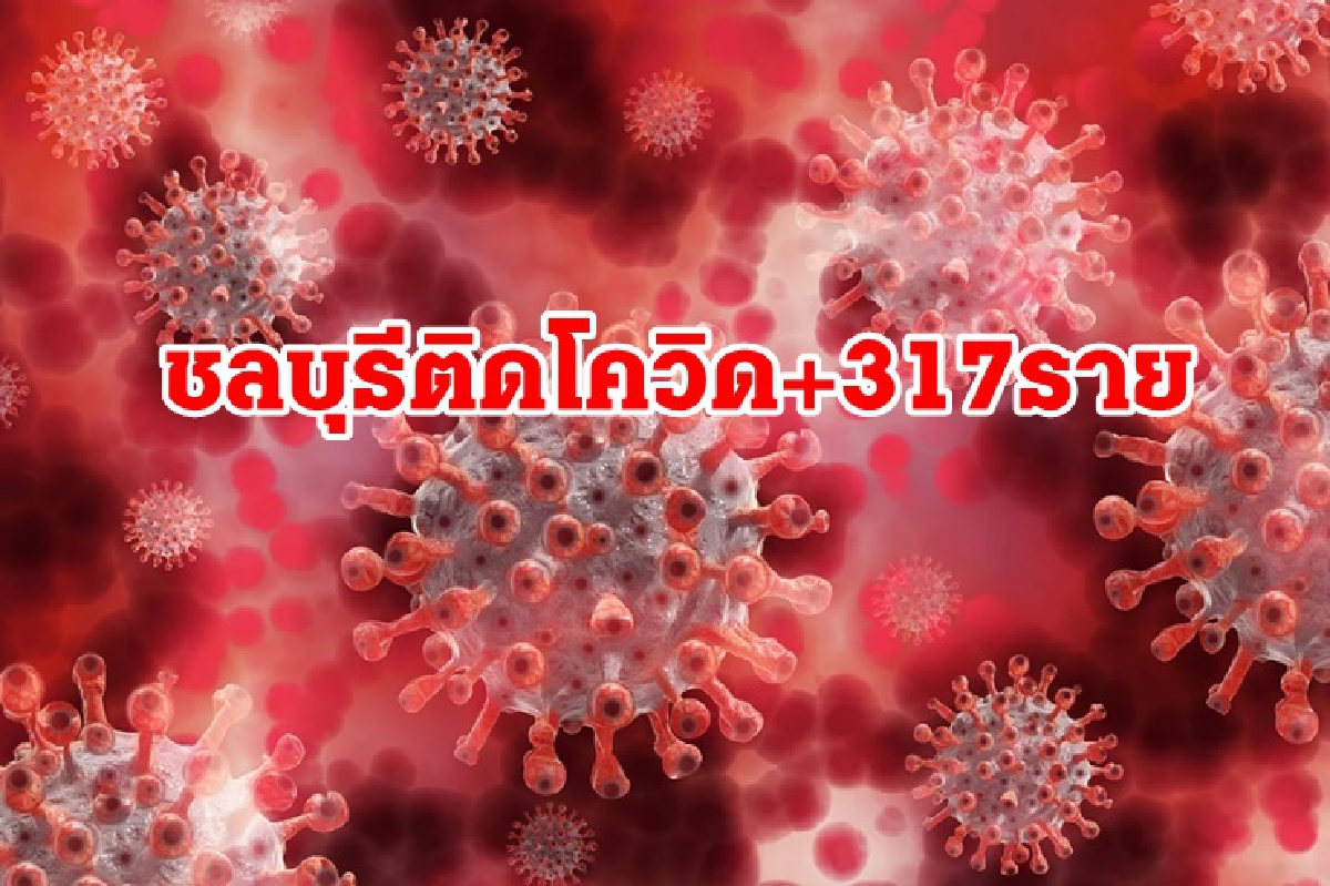 พุ่งต่อเนื่อง!!"ชลบุรี"เจอโควิดอีก 317 ราย อัพเดตสถานที่เสี่ยงอื้อ พุ่งต่อเนื่อง!!"ชลบุรี"เจอโควิดอีก 317 ราย อัพเดตสถานที่เสี่ยงอื้อ