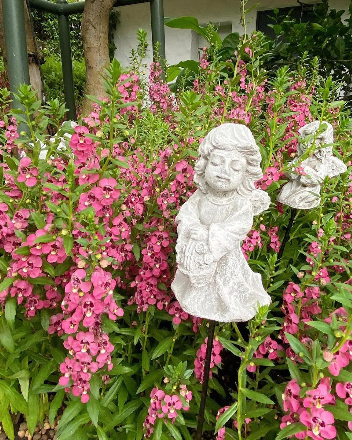 “ซี ศิวัฒน์” ทุ่มทุน สั่งปลูกดอกไม้ใหม่ให้ทั้งสวน เซอร์ไพรส์วันเกิด “เอมี่ กลิ่นประทุม”