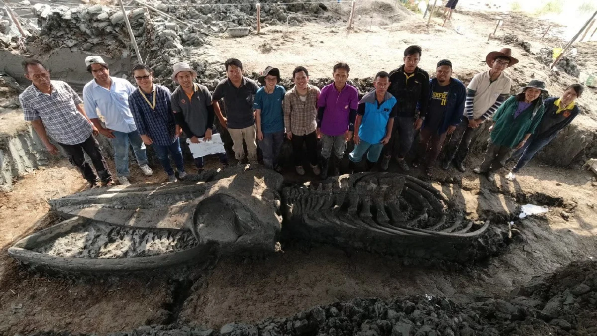 หลักฐานเชิงประจักษ์ว่าด้วยการเปลี่ยนแปลงของระดับน้ำทะเล