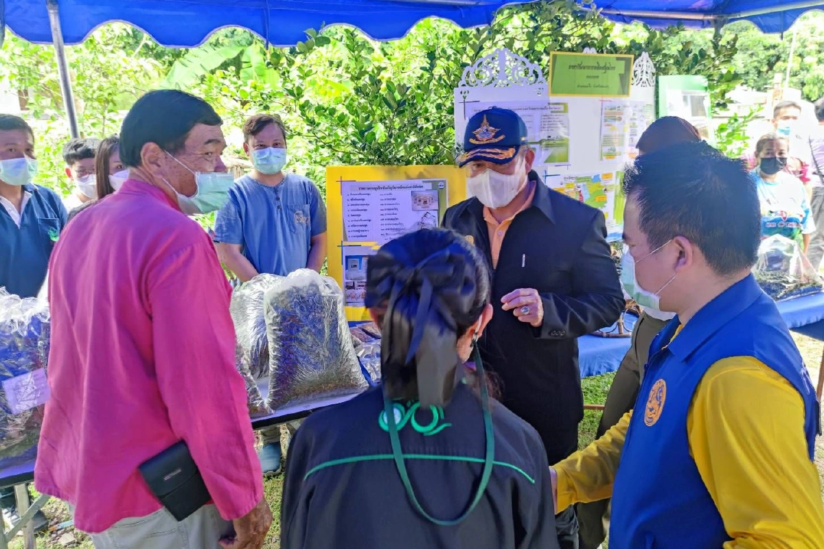 "ธรรมนัส"หนุนปลูก"ฟ้าทะลายโจร-กระชายขาว "ในพื้นที่สปก.