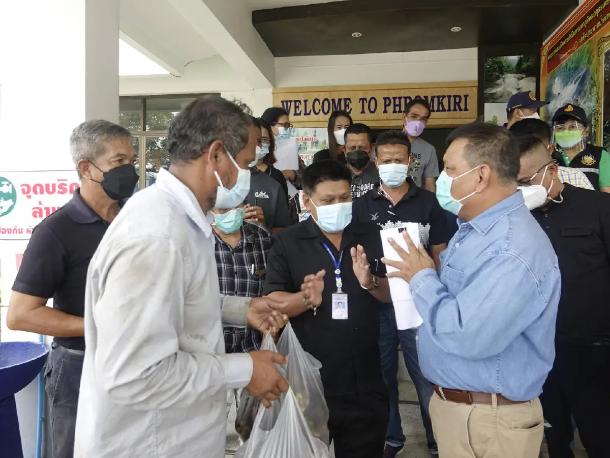 ชาวสวนมังคุดลุกฮือจี้แก้ปัญหาราคาตกต่ำช้ำถูกกดราคาอย่างหนัก