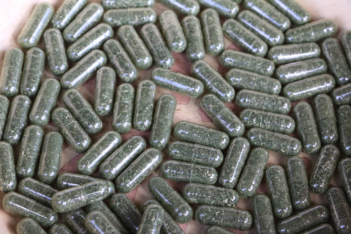 ยกฟ้าทะลายโจร"ทองคำสีเขียว"เทวดามาโปรดชาวทับคล้อ