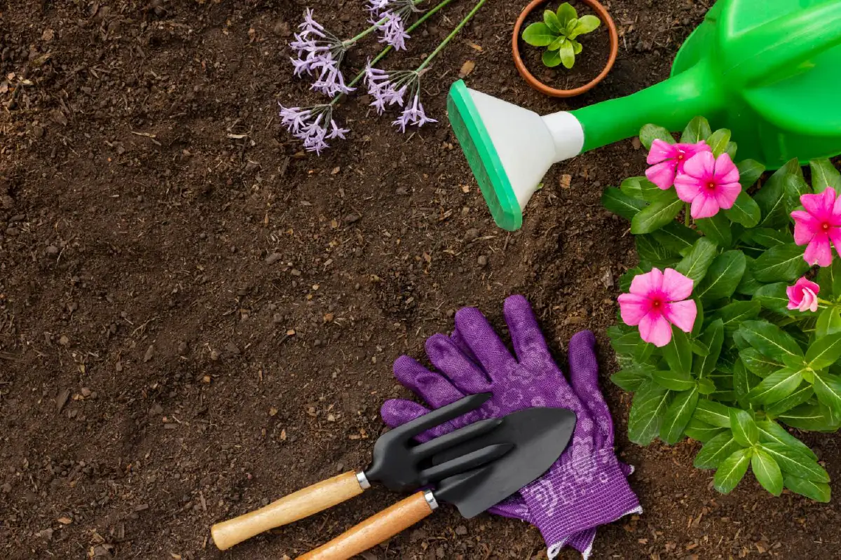 ปลูกต้นไม้ ช่วยลดความเครียดช่วงโควิด-19