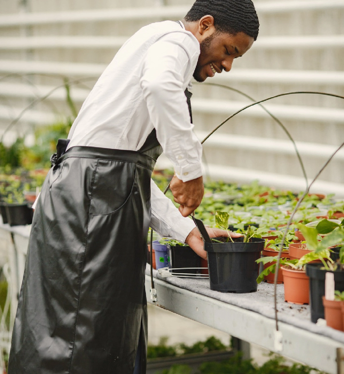 ปลูกต้นไม้ ช่วยลดความเครียดช่วงโควิด-19