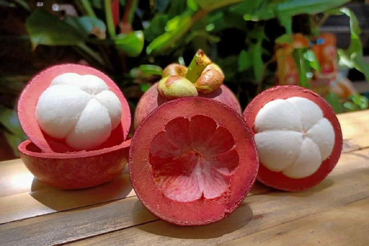 “ฟรุ้ทบอร์ด”รับข้อเสนอจ่ายเยียวยาชาวสวนมังคุดภาคใต้จากผลกระทบโควิด19