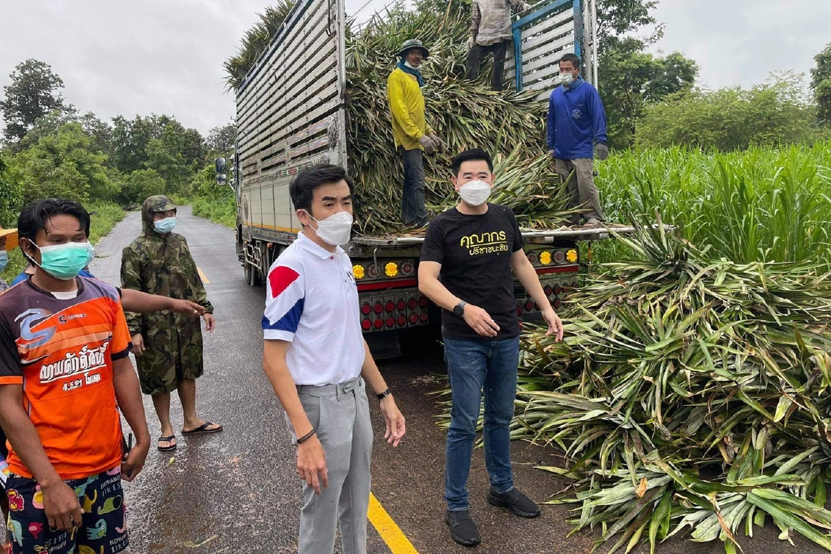 เพื่อไทยช่วยช้างสุรินทร์ป่วยผอมโซเพราะพิษโควิด