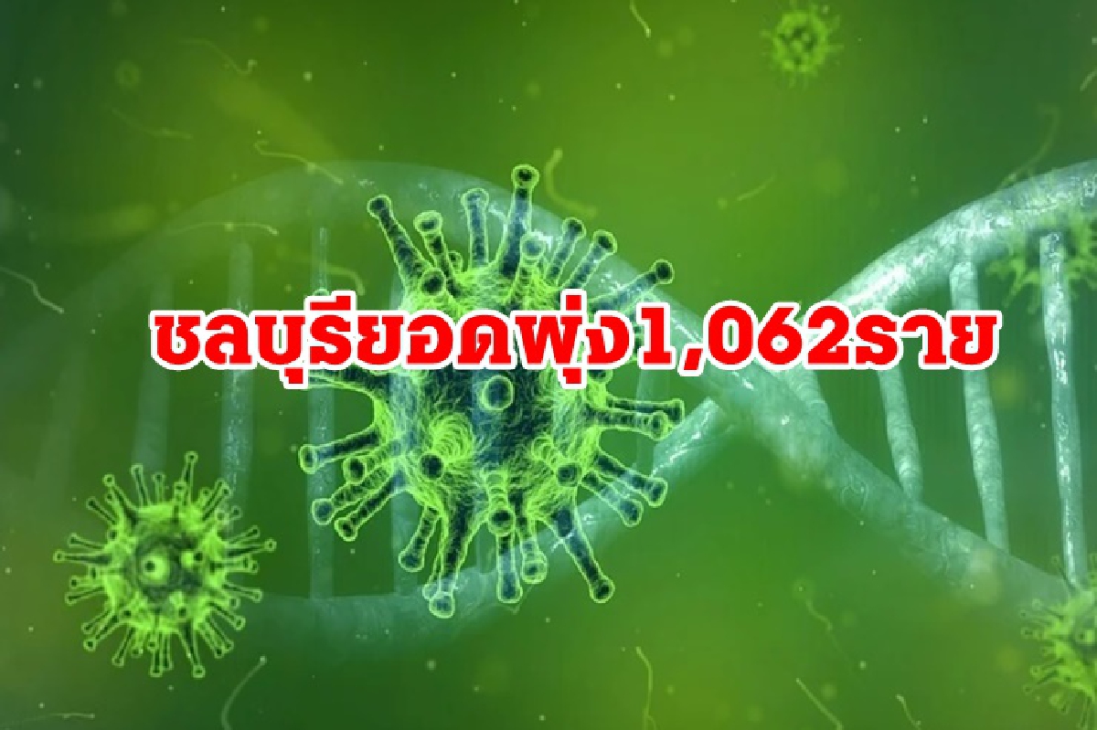 ยอดพุ่งพรวด! "โควิดชลบุรี" ป่วยใหม่ 1,062 ราย ตายอีก 6 ยอดพุ่งพรวด! "โควิดชลบุรี" ป่วยใหม่ 1,062 ราย ตายอีก 6