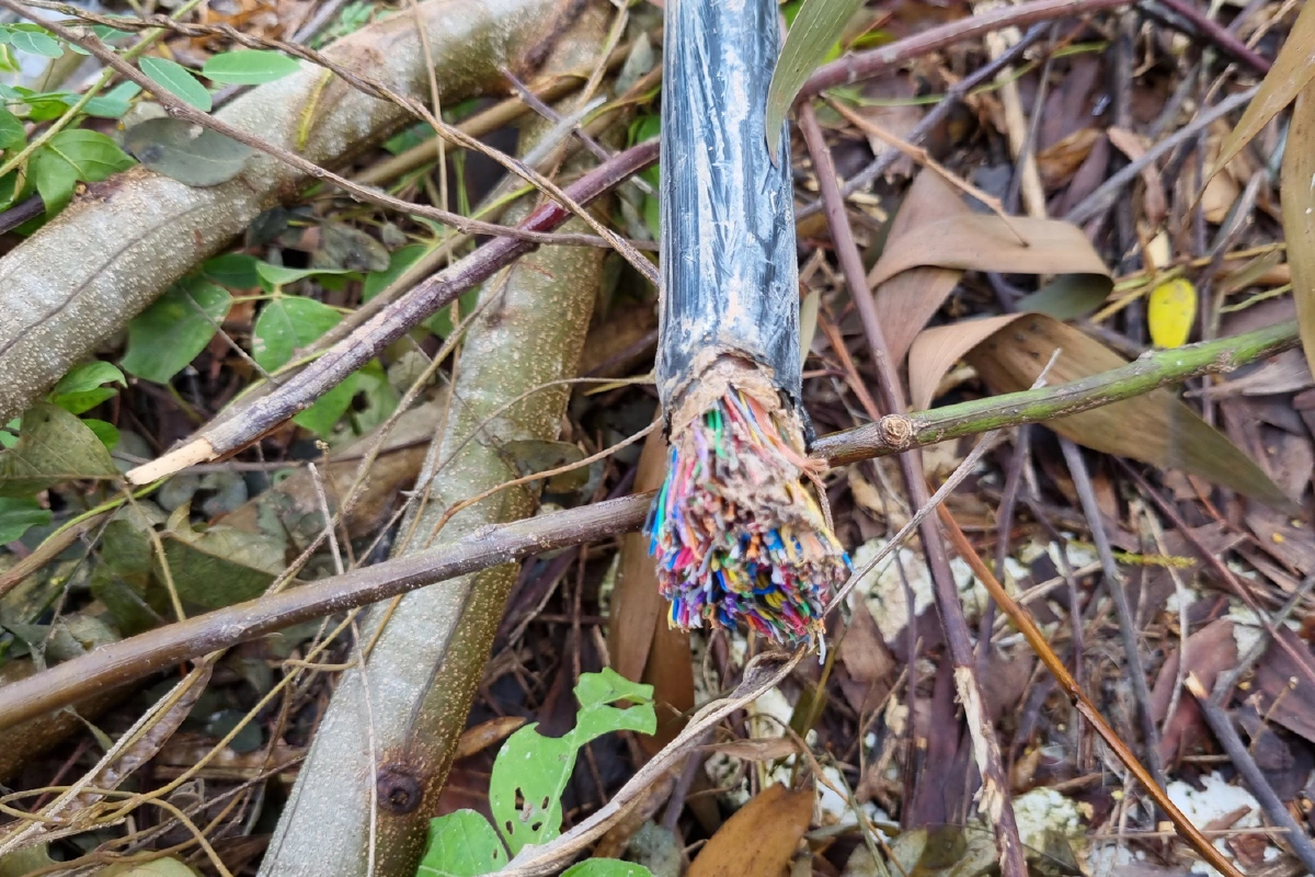 2โจรชายหญิงแต่งชุดนักวิ่งตีเนียนขโมยตัดสายเคเบิล