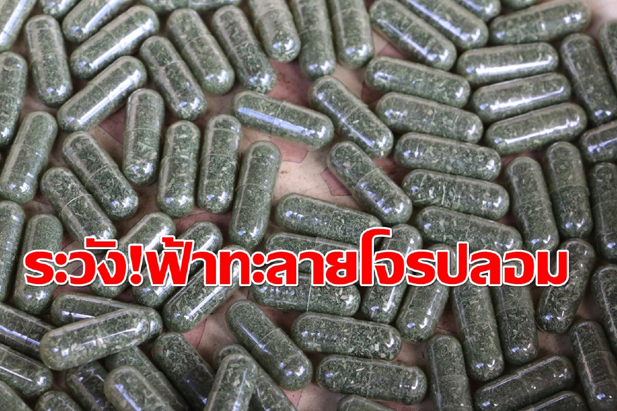 ตร.เตือนฟ้าทะลายโจรปลอมหลอกขายเกลื่อนสื่อออนไลน์ ตร.เตือนฟ้าทะลายโจรปลอมหลอกขายเกลื่อนสื่อออนไลน์