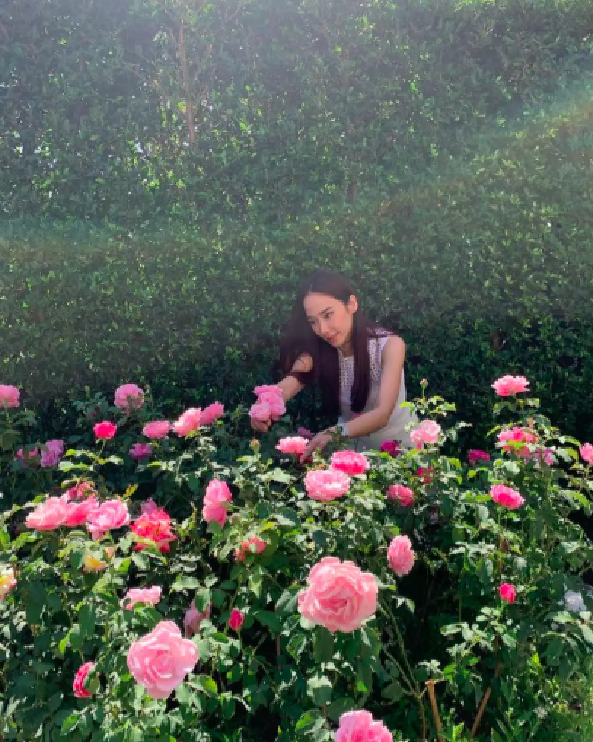 ส่องภาพสวนของ “อั้ม พัชราภา” ในสไตล์อังกฤษนีโอคลาสสิกสุดหรูหรา และร่มรื่นมาก 