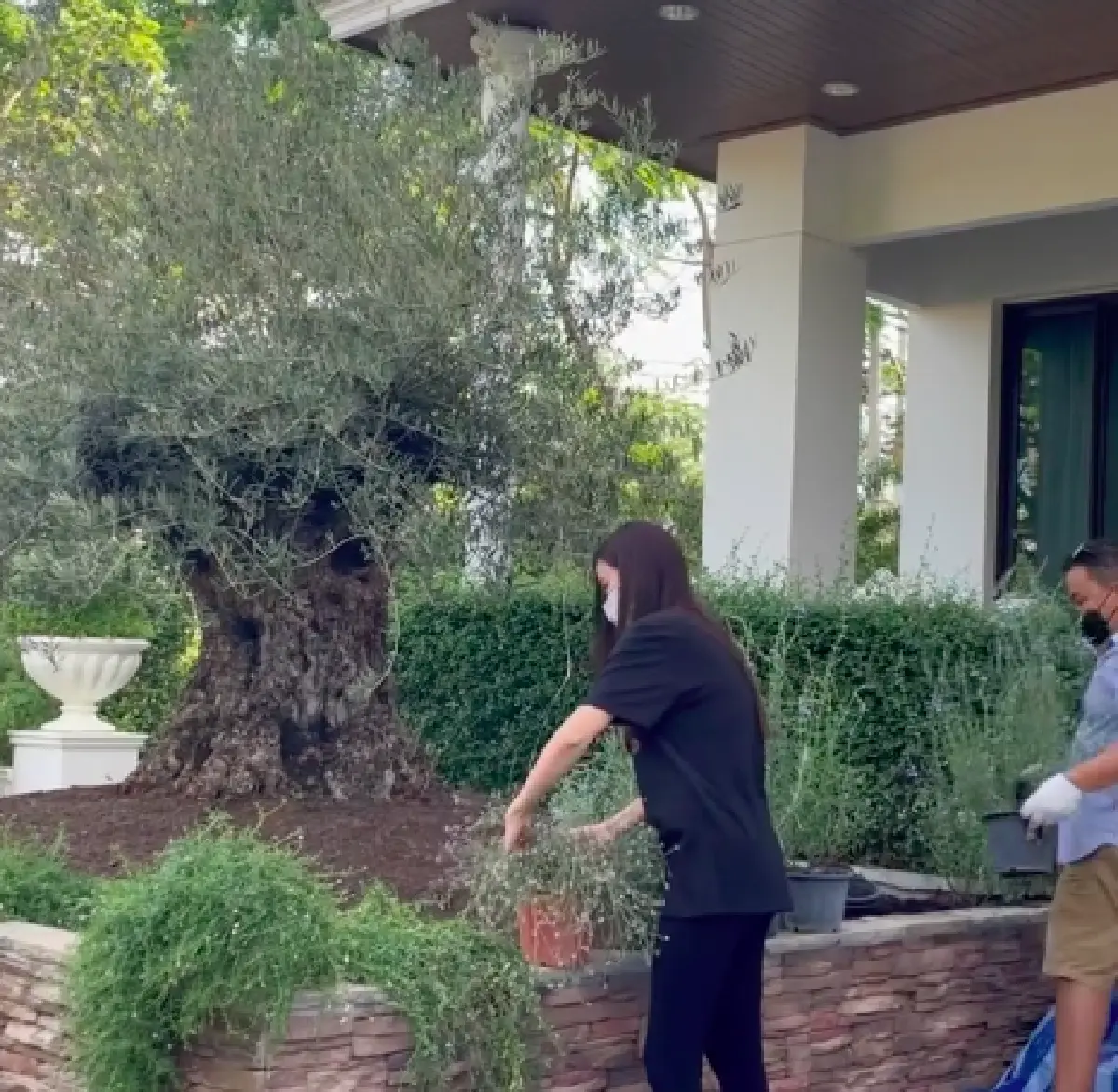 ส่องภาพสวนของ “อั้ม พัชราภา” ในสไตล์อังกฤษนีโอคลาสสิกสุดหรูหรา และร่มรื่นมาก 