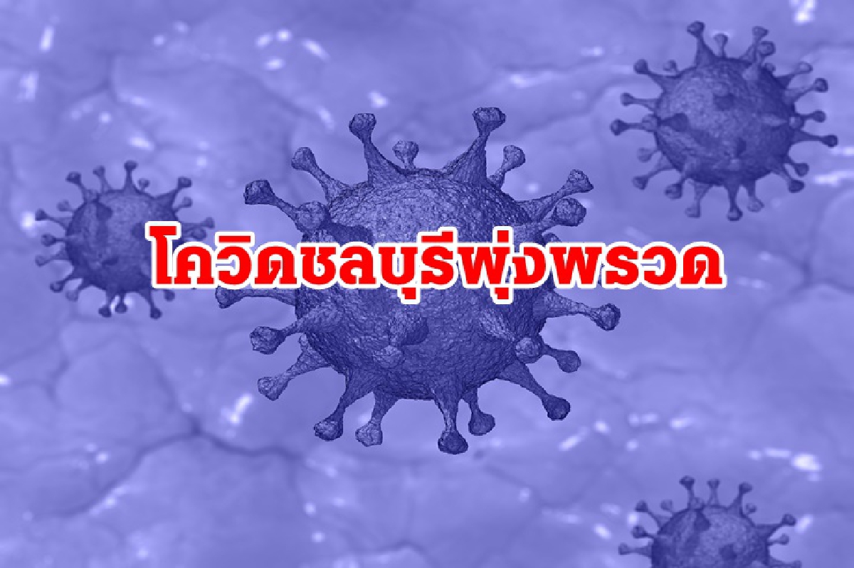 ยอดพุ่งไม่หยุด! โควิดชลบุรี ป่วยใหม่ 1,678 เสียชีวิตอีก 10 ราย ยอดพุ่งไม่หยุด! โควิดชลบุรี ป่วยใหม่ 1,678 เสียชีวิตอีก 10 ราย