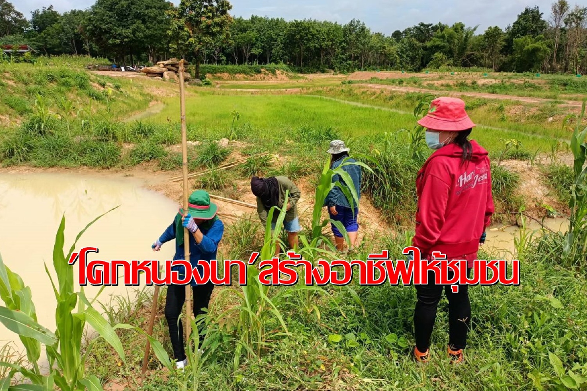 "โคก หนอง นา"ตระการพืชผลเดินหน้าสร้างความมั่นคงให้ชุมชน "โคก หนอง นา"ตระการพืชผลเดินหน้าสร้างความมั่นคงให้ชุมชน