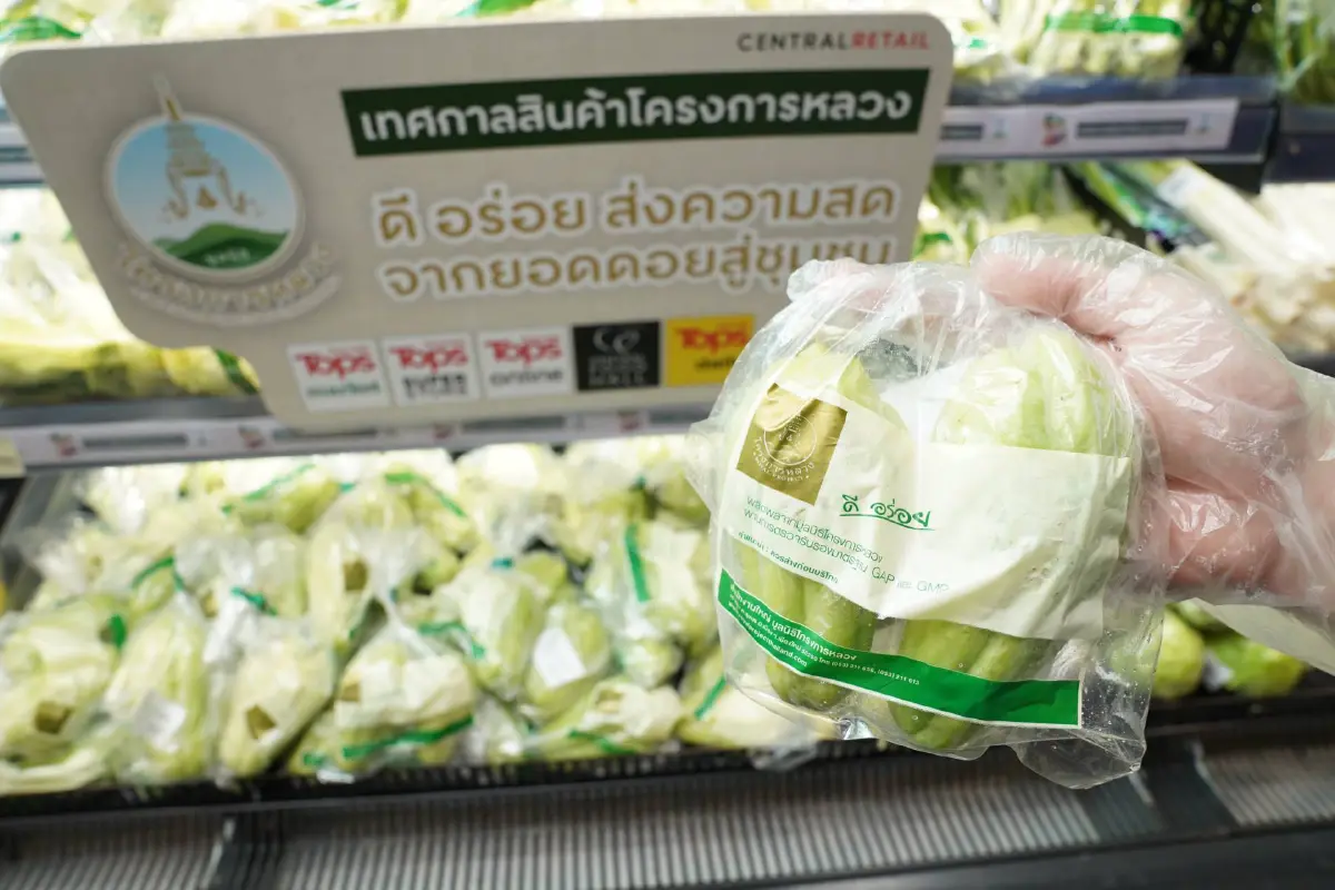 ส่งความสดจากยอดดอยสู่ชุมชนตลอดเดือนสิงหาคมนี้