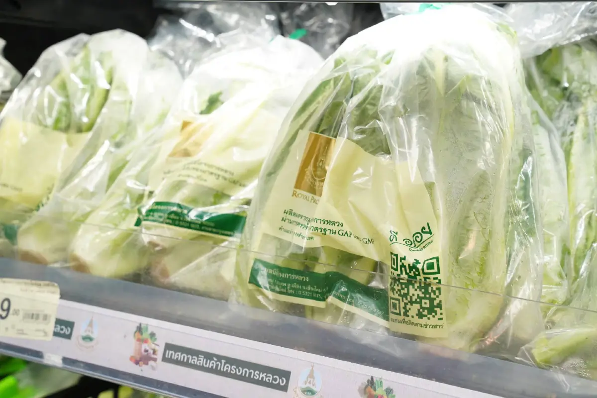 ส่งความสดจากยอดดอยสู่ชุมชนตลอดเดือนสิงหาคมนี้