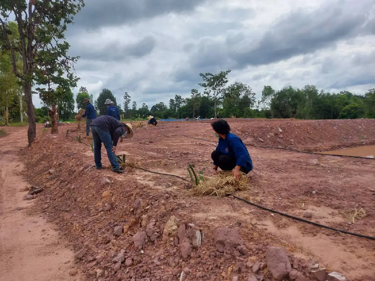 "โคก หนอง นา"ตระการพืชผลเดินหน้าสร้างความมั่นคงให้ชุมชน