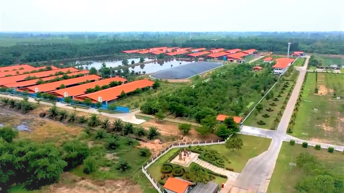 CPF ต่อยอดฟาร์มรักษ์โลก "Greenfarm" หนุนใช้พลังงานทดแทน “ไบโอแก๊ส-โซลาร์ฟาร์ม” 