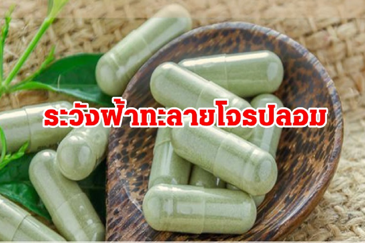 อย.เตือน "ฟ้าทะลายโจรปลอม" เช็กให้ดีก่อนซื้อ อย.เตือน "ฟ้าทะลายโจรปลอม" เช็กให้ดีก่อนซื้อ