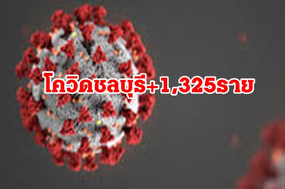 ชลบุรีน่าห่วง!! บุคลากรทางการแพทย์ ติดโควิด 34 ราย ยอดป่วยใหม่วันนี้1,325 คน ชลบุรีน่าห่วง!! บุคลากรทางการแพทย์ ติดโควิด 34 ราย ยอดป่วยใหม่วันนี้1,325 คน