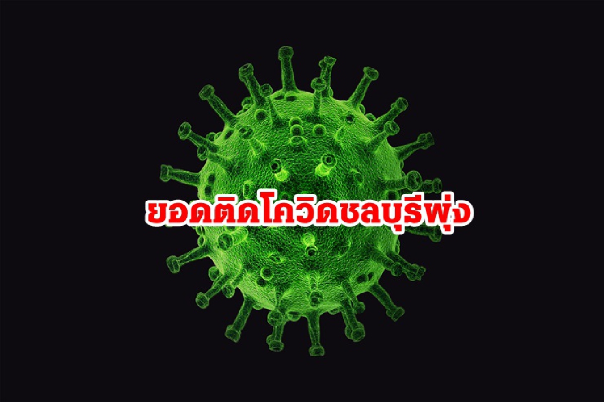 โควิดชลบุรีพุ่งไม่หยุด!! ติดเชื้อใหม่ 1,417 ดับอีก 9 ราย โควิดชลบุรีพุ่งไม่หยุด!! ติดเชื้อใหม่ 1,417 ดับอีก 9 ราย