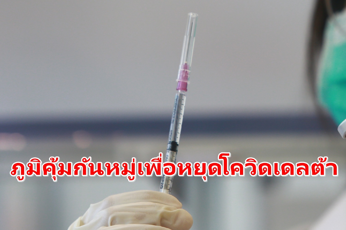 ต้องฉีดวัคซีนให้ประชากรอย่างน้อย85% จึงจะต้านโควิดเดลต้าได้ ต้องฉีดวัคซีนให้ประชากรอย่างน้อย85% จึงจะต้านโควิดเดลต้าได้
