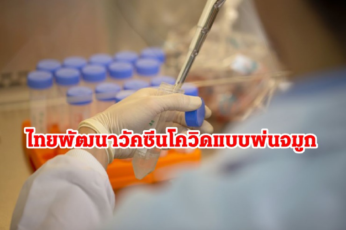 นักวิทย์ฯ ไทยเจ๋ง! พัฒนา “วัคซีนโควิด-19 แบบพ่นจมูก”สู้เชื้อกลายพันธุ์ นักวิทย์ฯ ไทยเจ๋ง! พัฒนา “วัคซีนโควิด-19 แบบพ่นจมูก”สู้เชื้อกลายพันธุ์