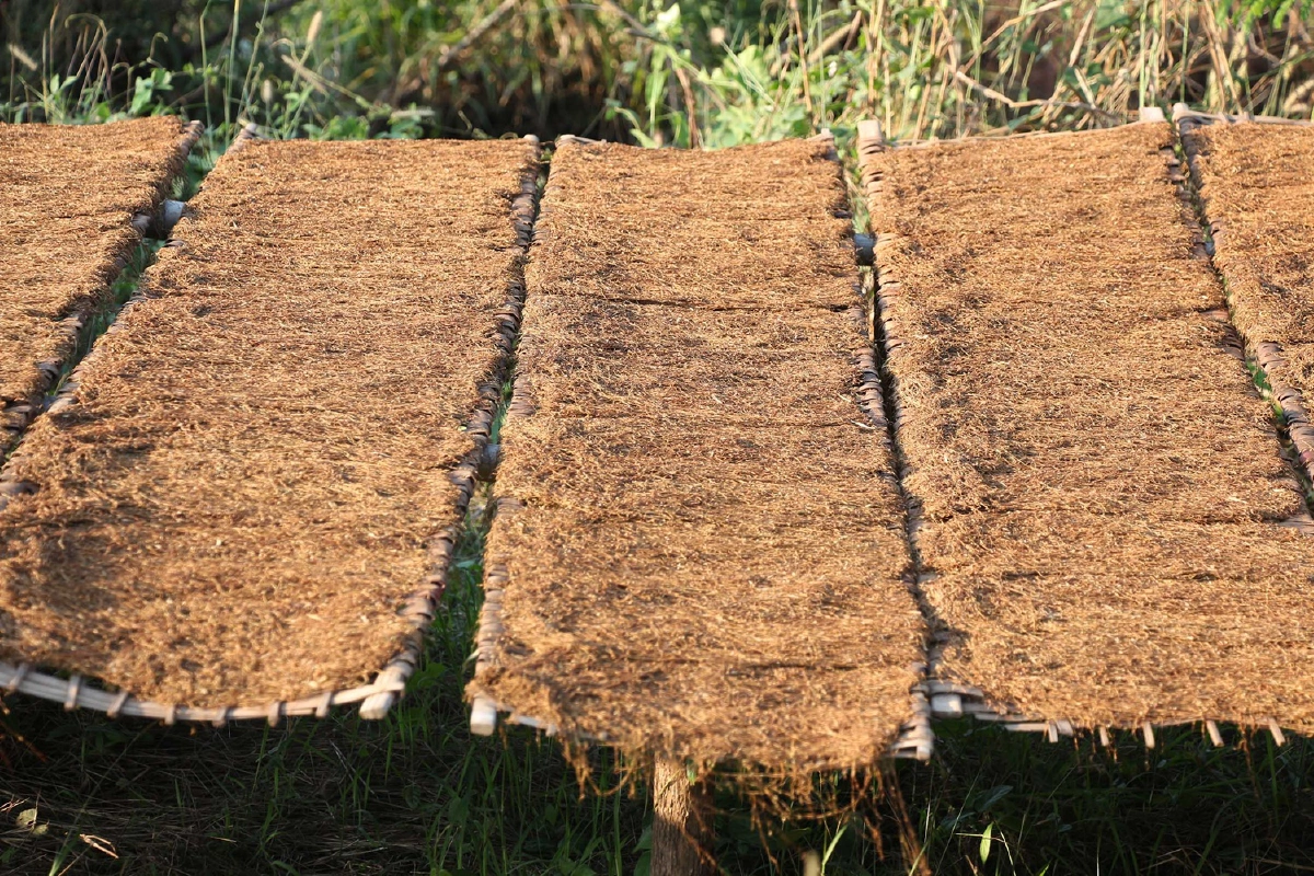 นักวิชาการเผยข้อมูล WHO แฉไทยเก็บภาษียาเส้นต่ำสุดในโลก