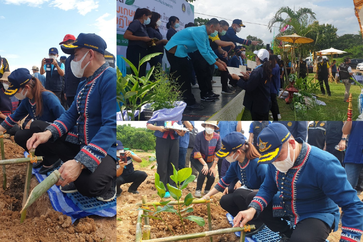 "ธรรมนัส"ชี้อาชีพเกษตรหนึ่งทางรอดสู้วิกฤตโควิด "ธรรมนัส"ชี้อาชีพเกษตรหนึ่งทางรอดสู้วิกฤตโควิด