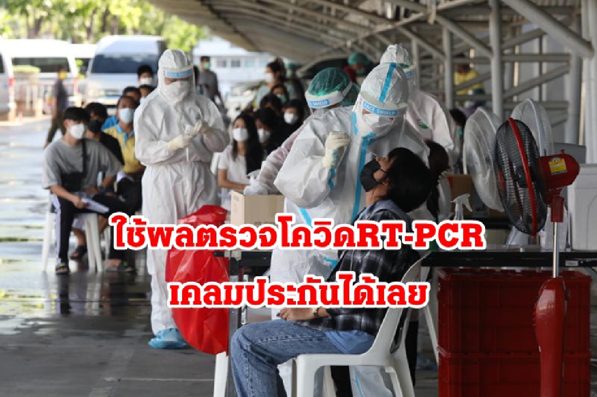 สปสช.ย้ำใช้ผลตรวจโควิด RT-PCR เคลมประกันได้เลยไม่ต้องใช้ใบรับรองแพทย์ สปสช.ย้ำใช้ผลตรวจโควิด RT-PCR เคลมประกันได้เลยไม่ต้องใช้ใบรับรองแพทย์