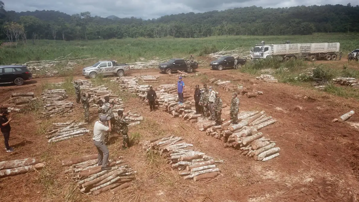 ทายาทอดีตสส.ยอมรื้อถอนสิ่งปลูกสร้างรุกป่าลำคลองงู