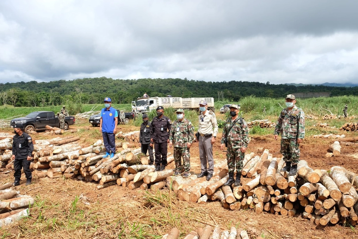 ทายาทอดีตสส.ยอมรื้อถอนสิ่งปลูกสร้างรุกป่าลำคลองงู