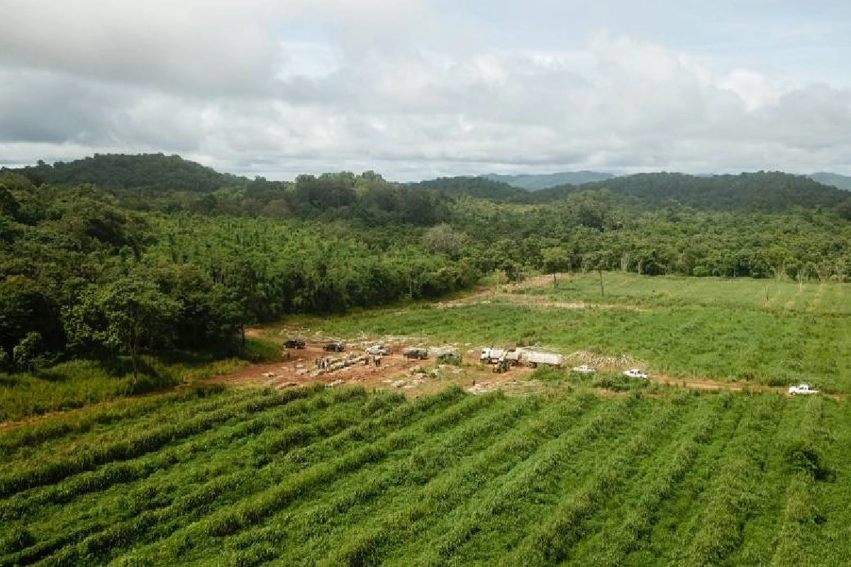 ทายาทอดีตสส.ยอมรื้อถอนสิ่งปลูกสร้างรุกป่าลำคลองงู