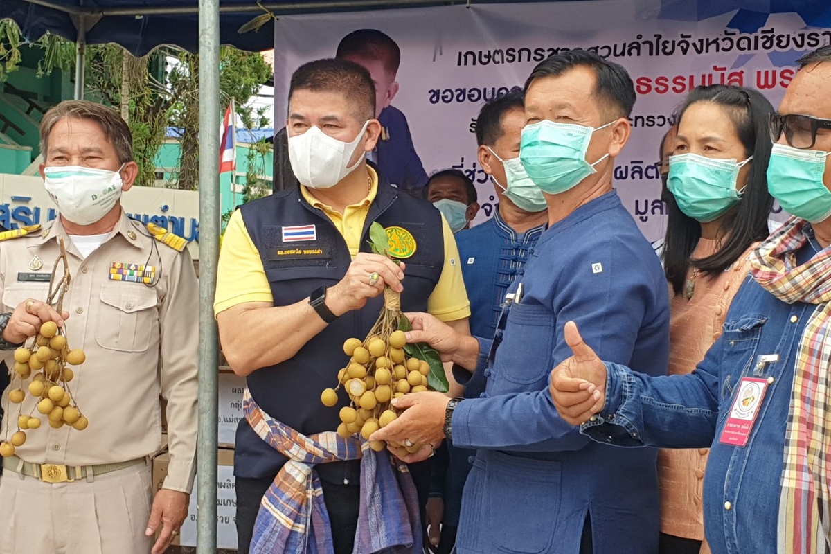 "ธรรมนัส"หนุนโครงการลำไยแลกมังคุดช่วยบรรเทาราคาตกต่ำ "ธรรมนัส"หนุนโครงการลำไยแลกมังคุดช่วยบรรเทาราคาตกต่ำ