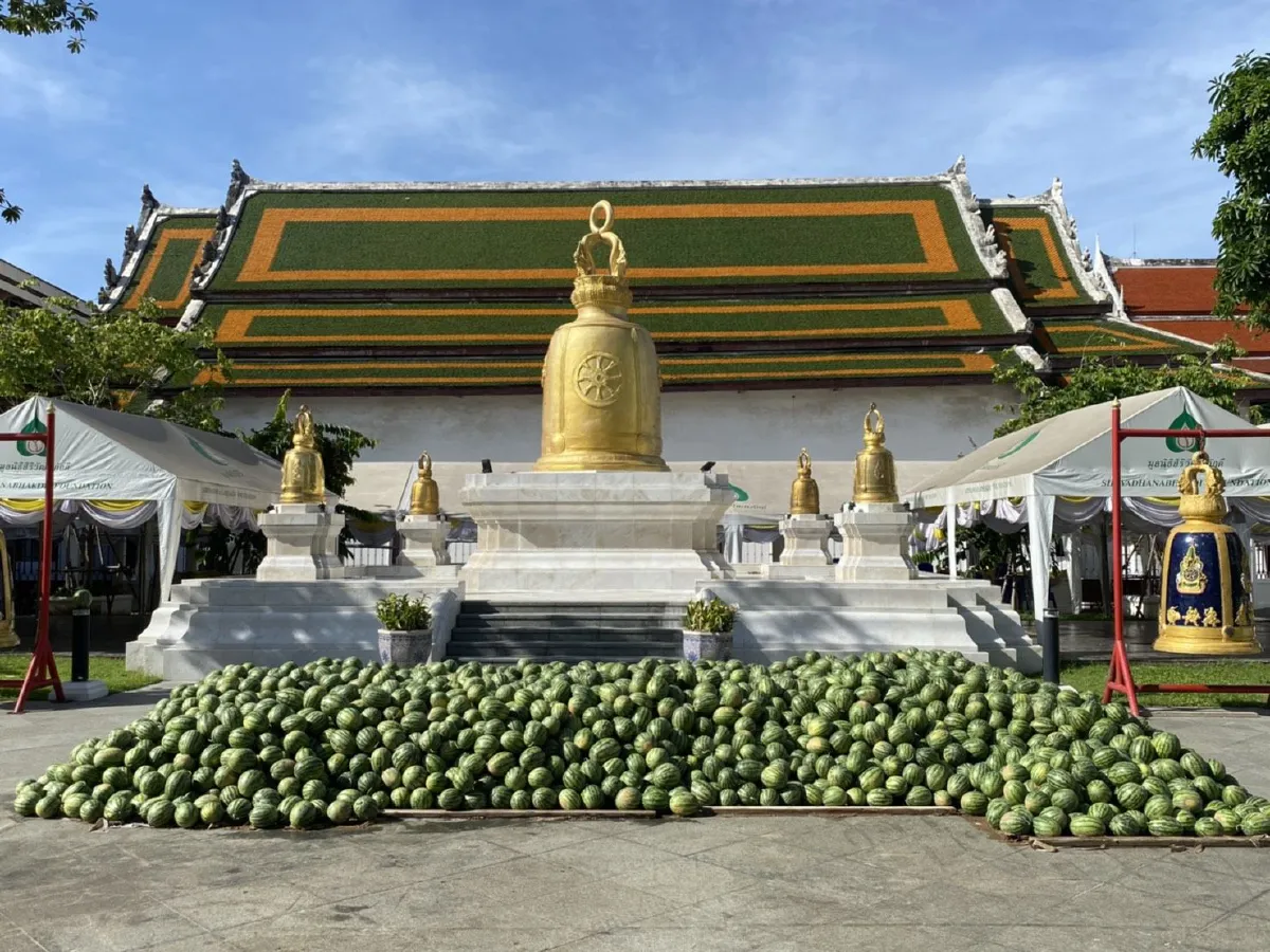 วัดระฆังฯช่วยเกษตรกรเจอพิษโควิดเหมาแตงโม10ตันแจกชาวบ้าน