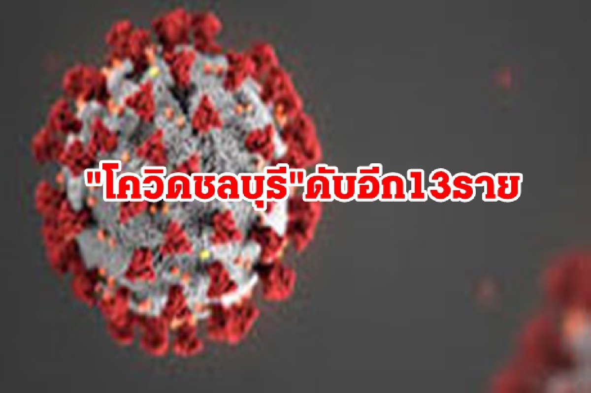 ยอดยังสูง!!"โควิดชลบุรี"พบดับอีก 13 ติดเชื้อกว่า 1.2 พันราย แจ้งเตือนสถานที่เสี่ยง ทั้งห้างดัง ตลาด ยอดยังสูง!!"โควิดชลบุรี"พบดับอีก 13 ติดเชื้อกว่า 1.2 พันราย แจ้งเตือนสถานที่เสี่ยง ทั้งห้างดัง ตลาด