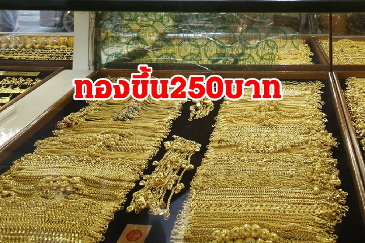 ทองคำ 14 ส.ค. ขึ้น 250บาท ทองคำ 14 ส.ค. ขึ้น 250บาท