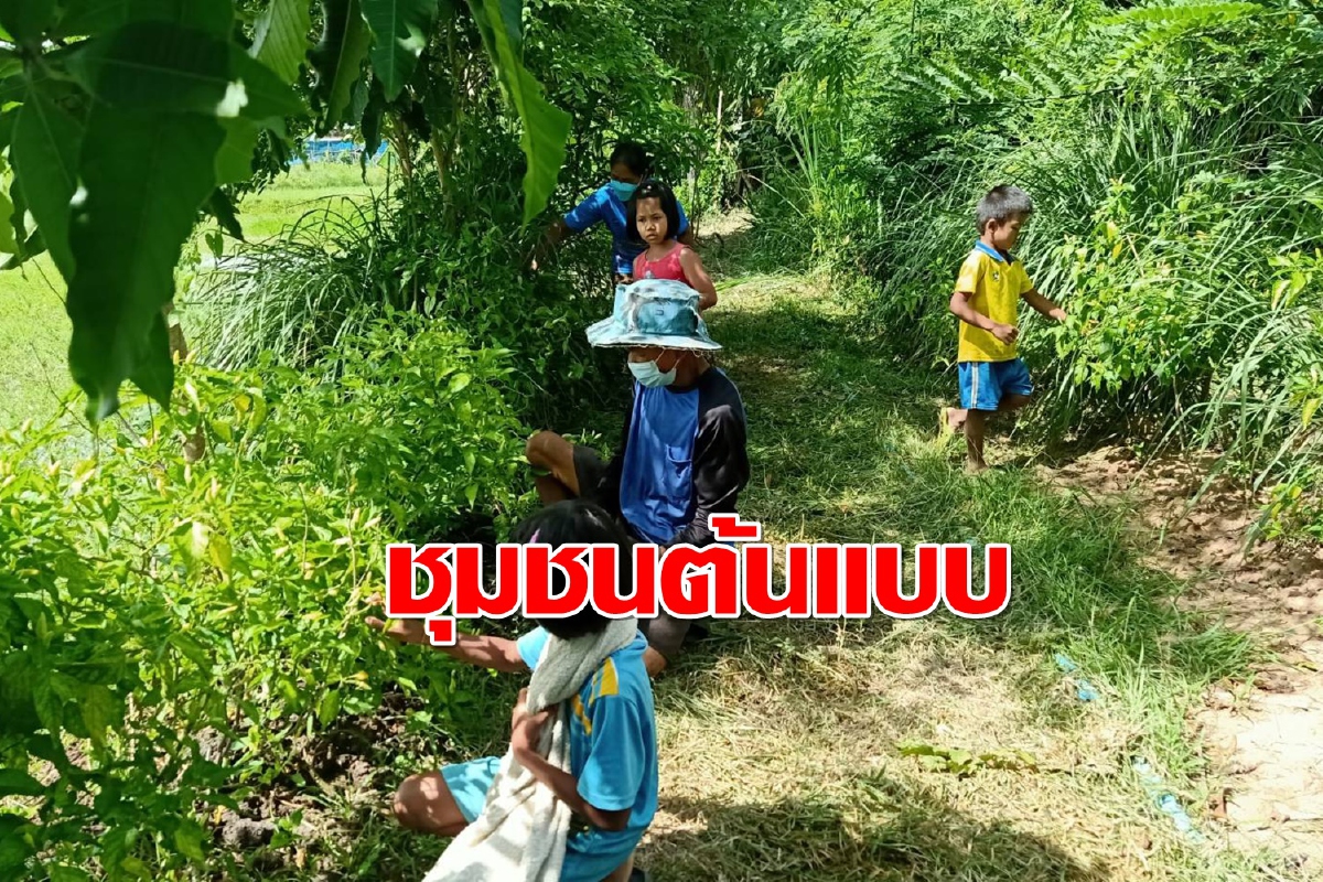 ชุมชนต้นแบบ"บ้านยางชุม-วังศิลาโมเดล"ช่วยคนพิการเจอพิษโควิด ชุมชนต้นแบบ"บ้านยางชุม-วังศิลาโมเดล"ช่วยคนพิการเจอพิษโควิด
