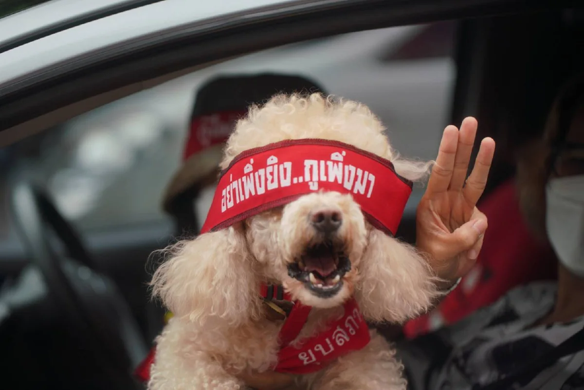 ม็อบ"Car Park"ทยอยชุมนุมราชประสงค์ "ป้าเป้า"ร่วมด้วย