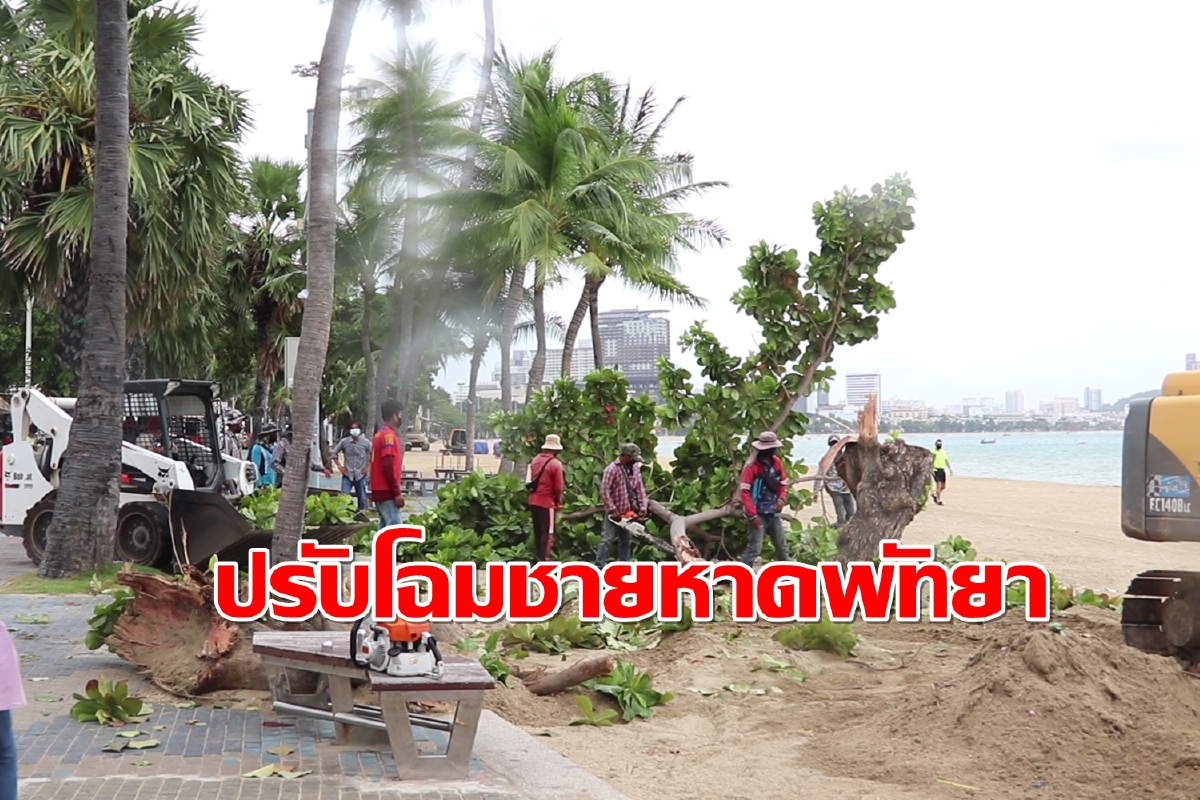 ทุ่ม166ล้านจ้างสวนนงนุชแปลงโฉมชายหาดพัทยารับนักท่องเที่ยว ทุ่ม166ล้านจ้างสวนนงนุชแปลงโฉมชายหาดพัทยารับนักท่องเที่ยว