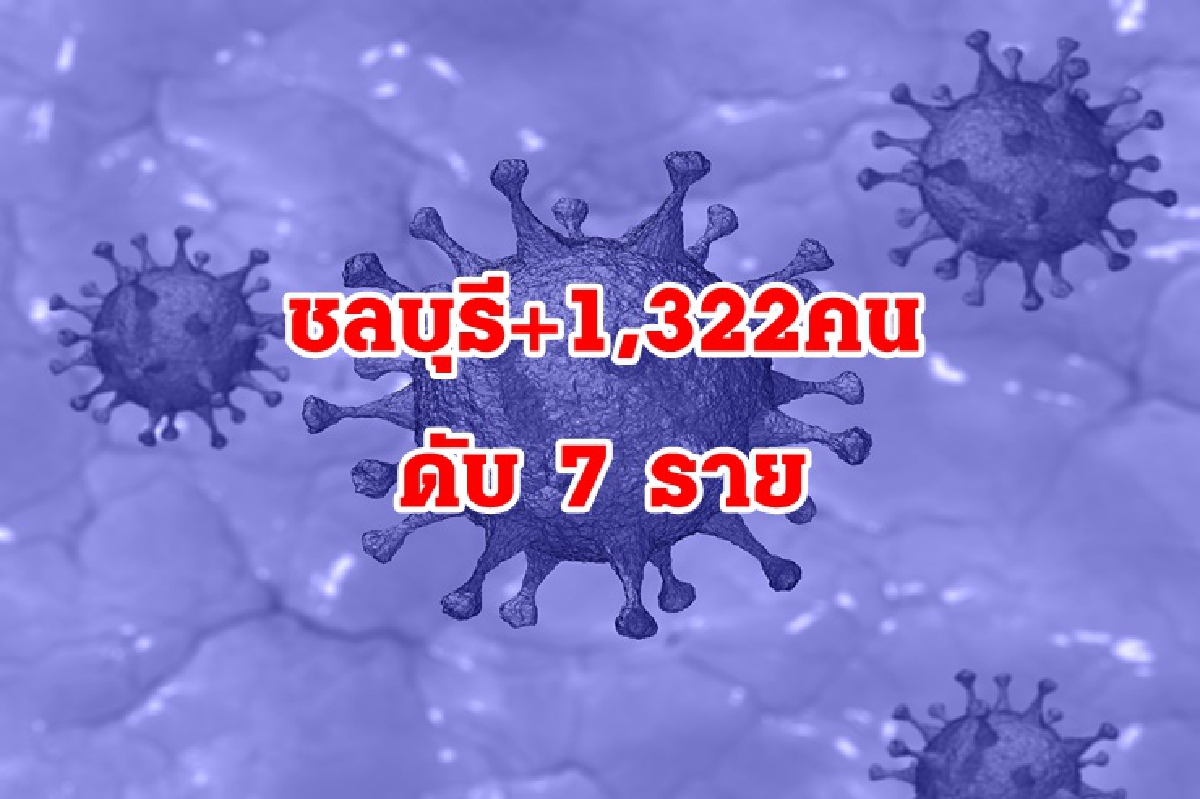ชลบุรีป่วยโควิดพุ่ง 1,322 ดับอีก 7 ราย อัพเดต 14 จุดเสี่ยงโควิดใน2อำเภอ ชลบุรีป่วยโควิดพุ่ง 1,322 ดับอีก 7 ราย อัพเดต 14 จุดเสี่ยงโควิดใน2อำเภอ