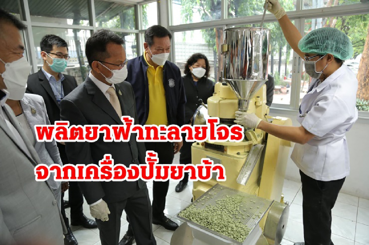 ยธ.เดินเครื่องผลิตยาฟ้าทะลายโจรจากเครื่องปั๊มยาบ้า ล็อตแรก1.5 ล้านเม็ด ยธ.เดินเครื่องผลิตยาฟ้าทะลายโจรจากเครื่องปั๊มยาบ้า ล็อตแรก1.5 ล้านเม็ด