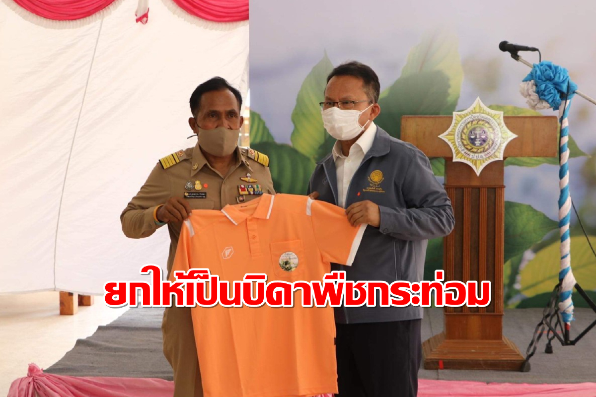 "สมศักดิ์"เขินถูกชูเป็นบิดาแห่งพืชกระท่อมหลังปลดล็อกสำเร็จ "สมศักดิ์"เขินถูกชูเป็นบิดาแห่งพืชกระท่อมหลังปลดล็อกสำเร็จ