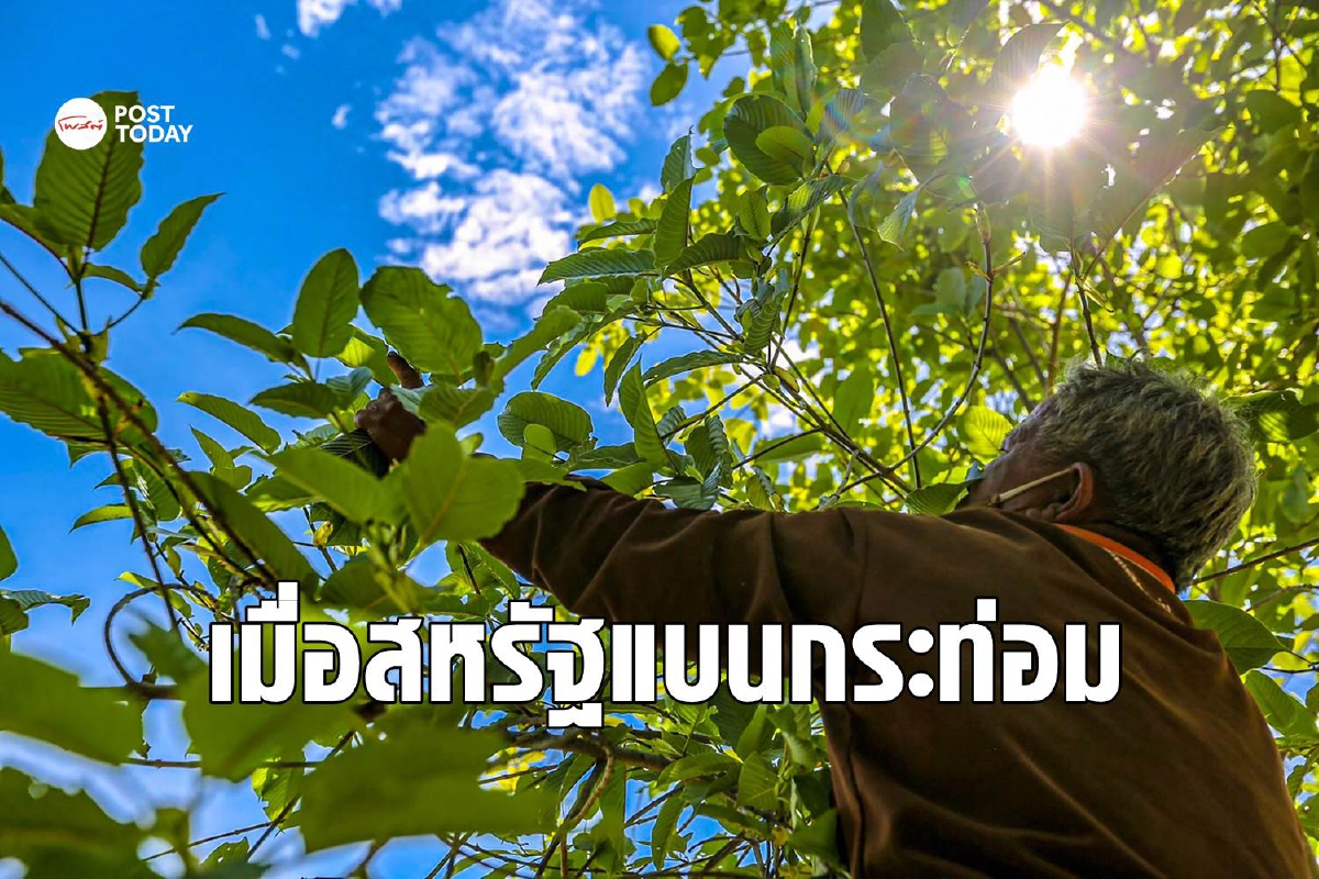เมื่ออเมริกันต้องการ 'กระท่อม' เสรี เมื่ออเมริกันต้องการ 'กระท่อม' เสรี