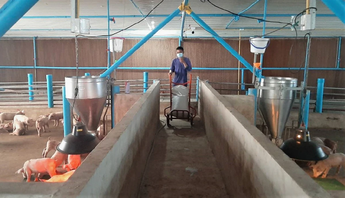 เกษตรกรคอนแทรคฟาร์ม ซีพีเอฟ เดินหน้าอาชีพต่อเนื่อง สร้างหลักประกันอาหารปลอดภัย ในวิกฤตโควิด-19