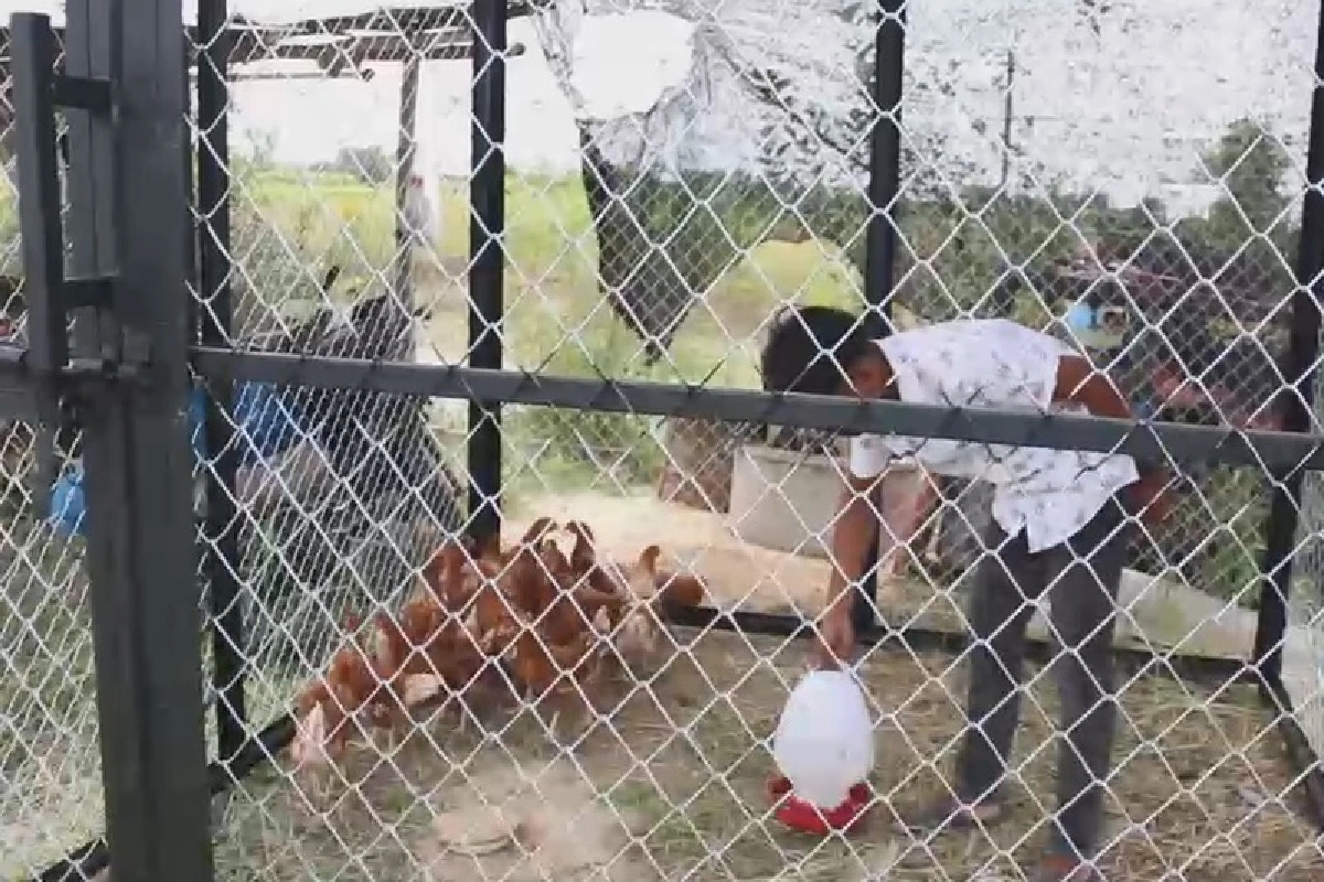 "น้องวิว"เกรด3.93ยากจน สัญญาตั้งใจเรียน ตอบแทนน้ำใจผู้บริจาค