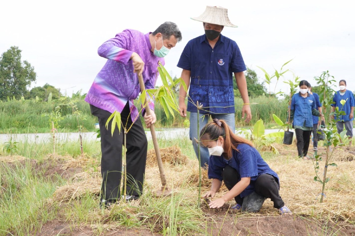 พช.ตรวจ"โคก หนอง นา"คลองหลวง ต้นแบบพัฒนาคุณภาพชีวิต พช.ตรวจ"โคก หนอง นา"คลองหลวง ต้นแบบพัฒนาคุณภาพชีวิต