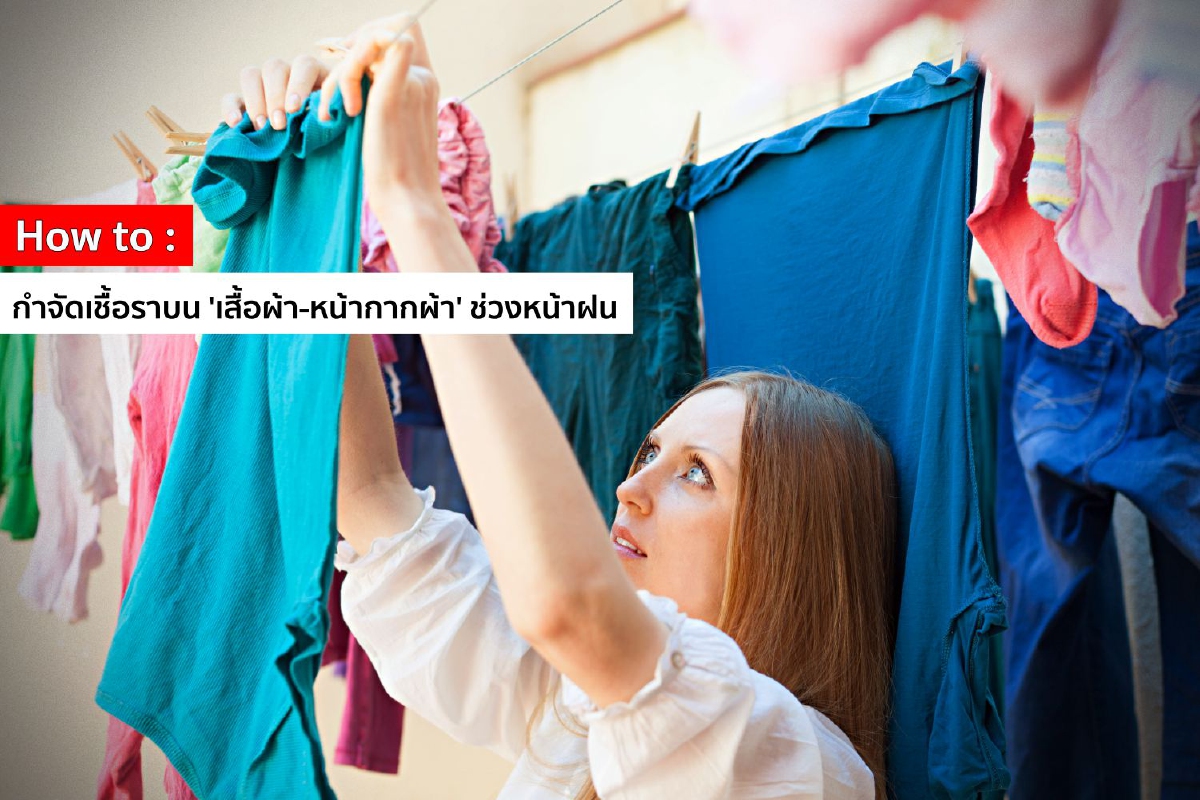 How to กำจัดเชื้อราบน 'เสื้อผ้า-หน้ากากผ้า' ช่วงหน้าฝน How to กำจัดเชื้อราบน 'เสื้อผ้า-หน้ากากผ้า' ช่วงหน้าฝน