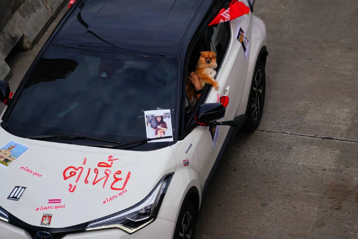 ภาพชุดขบวนคาร์ม็อบเคลื่อนจากแยกเกษตรไปปทุมธานี