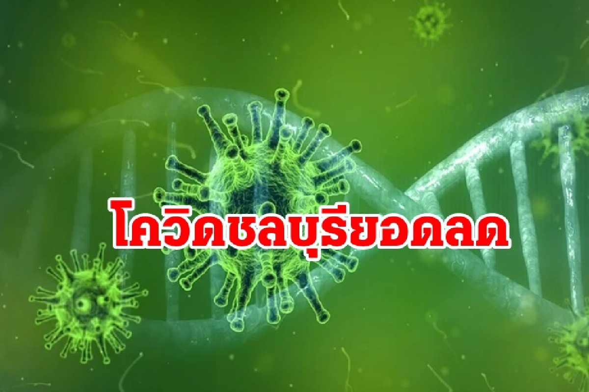 ยอดลด! วันนี้ชลบุรีติดโควิดรายใหม่ 745 ดับ 4 ราย ยอดลด! วันนี้ชลบุรีติดโควิดรายใหม่ 745 ดับ 4 ราย